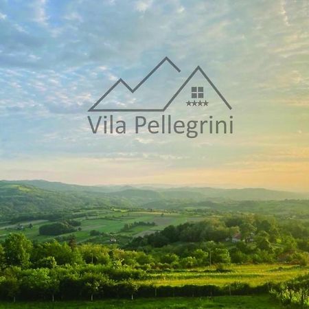 Vila Pellegrini أراندجيلوفاك المظهر الخارجي الصورة